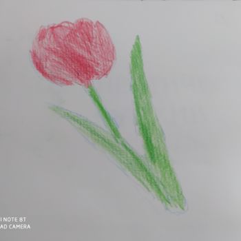 Рисунок под названием "Тюльпан" - Qiwi, Подлинное произведение искусства, Цветные карандаши
