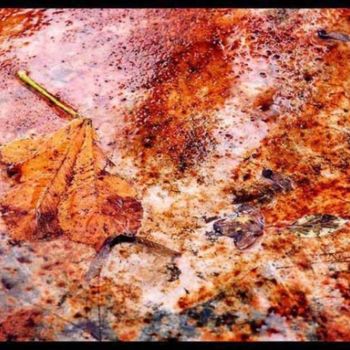 Fotografie getiteld "feuilles d'automne" door Serein, Origineel Kunstwerk