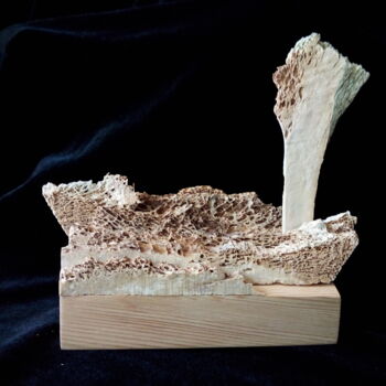 「theatre set」というタイトルの彫刻 Serendipity Licheによって, オリジナルのアートワーク, 骨