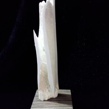 Скульптура под названием "Immeuble en ruine" - Serendipity Liche, Подлинное произведение искусства, кость
