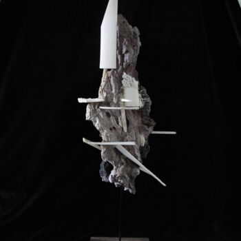 Rzeźba zatytułowany „falaise flottante” autorstwa Serendipity Liche, Oryginalna praca, Kość