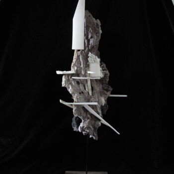 Sculpture titled "falaise flottante" by Serendipity Liche, Original Artwork, Bone