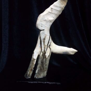 Sculpture intitulée "S'extraire de sa co…" par Serendipity Liche, Œuvre d'art originale, Os