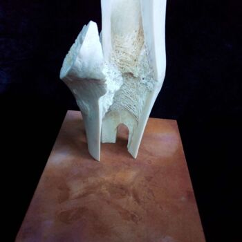 Sculpture intitulée "Antichambre" par Serendipity Liche, Œuvre d'art originale, Os