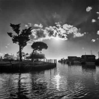 Fotografia intitolato "Bassin d'Arcachon" da Serge Ricome, Opera d'arte originale, fotografia a pellicola