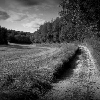 Fotografia intitulada "Chemin intime 6" por Serge Ricome, Obras de arte originais, Fotografia de filme