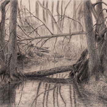 Drawing titled "At the creek (У руч…" by Igor Sergeev, Original Artwork, Pencil