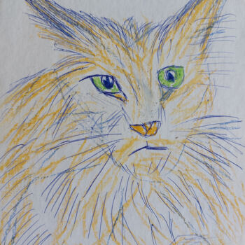 Drawing titled "Maine Coon cat" by Sergej Danko, Original Artwork, Pastel