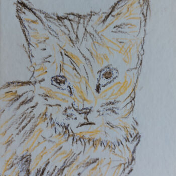 Dessin intitulée "British kitten" par Sergej Danko, Œuvre d'art originale, Pastel