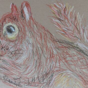 Dessin intitulée "Squirrel" par Sergej Danko, Œuvre d'art originale, Pastel