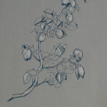 Disegno intitolato "Branch" da Sergey Sovkov, Opera d'arte originale, Matite colorate