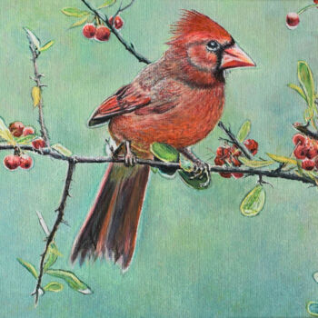 Painting titled "CARDINAL ON A BRANC…" by Sergey Suslov, Original Artwork, Oil Mounted on Cardboard