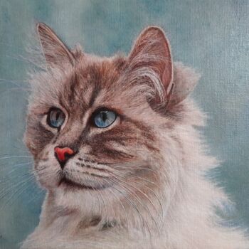 Painting titled "Cat severe" by Sergey Suslov, Original Artwork, Oil Mounted on Wood Stretcher frame