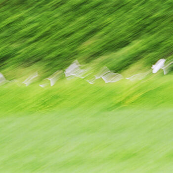 Fotografia zatytułowany „The flight of herons” autorstwa Sergio Assis, Oryginalna praca, Fotografia filmowa