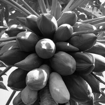 Фотография под названием "Assorted fruits 6" - Sergio Benetti, Подлинное произведение искусства, Цифровая фотография