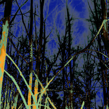 Digital Arts titled "Forest" by Sergio, Original Artwork, Digital Painting