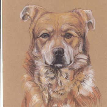 Drawing titled "Dog Portrait" by Ujvarosi, Original Artwork, Pastel