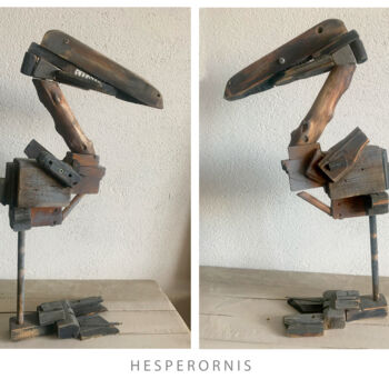 Sculpture titled "Hesperornis" by Sergii Shkoliar, Original Artwork, Wood