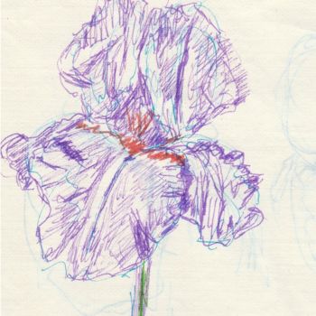 Drawing titled "iris" by Patricia Sermet, Original Artwork