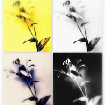 Photographie intitulée "Fleur de Lys." par Stephan Serris, Œuvre d'art originale, Photographie numérique