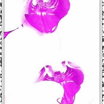 Photography titled "Orchidée Pink Manta" by Stephan Serris, Original Artwork, Manipulated Photography
