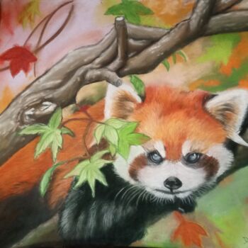 Peinture intitulée "le panda roux" par Severine Delanoue, Œuvre d'art originale, Pastel