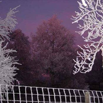 Photographie intitulée "crépuscule gelé 01" par Sève, Œuvre d'art originale