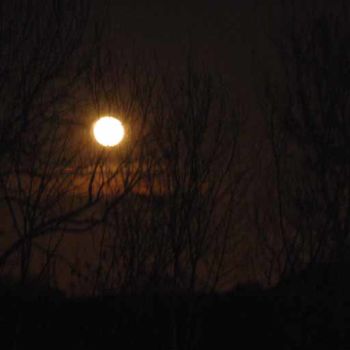 Фотография под названием "lune de février 200…" - Sève, Подлинное произведение искусства
