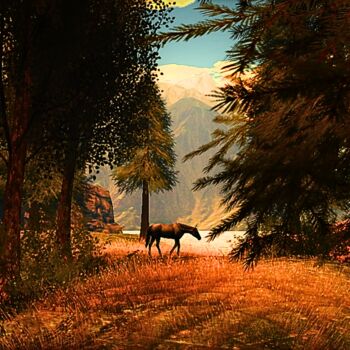 Fotografia zatytułowany „A Walk In The Woods” autorstwa Shakti Ferguson, Oryginalna praca, Fotografia cyfrowa