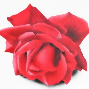 Schilderij getiteld "Red roses" door Shamana, Origineel Kunstwerk, Olie