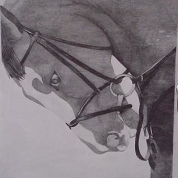 Drawing titled "Hunter/Jumper heads…" by Shannon Young, Original Artwork