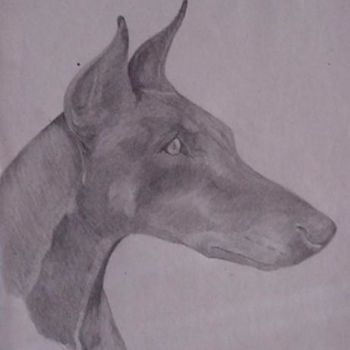 Drawing titled "Doberman male" by Shannon Young, Original Artwork