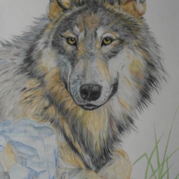 Painting titled "On Alert" by Shawn, Original Artwork, Watercolor
