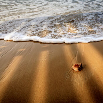 제목이 "Lonely Beach"인 사진 Shimon Rottenberg로, 원작, 디지털