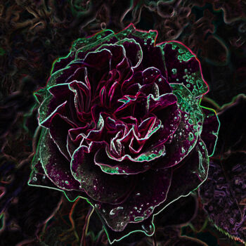 Photography titled "Neon Rose" by Shiro Lilium Art, Original Artwork, Digital Photography
