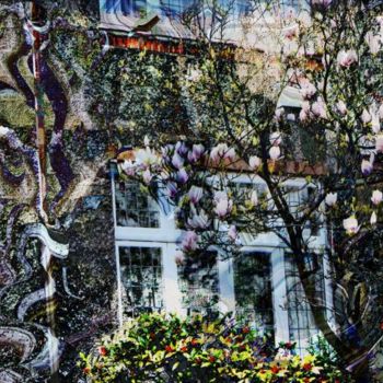 「Magnolias」というタイトルのデジタルアーツ Shmuel Ben Hagaiによって, オリジナルのアートワーク, コラージュ