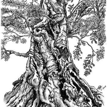 Dessin intitulée "Tree" par Shorove, Œuvre d'art originale, Stylo gel