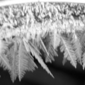Photography titled "Feather Frost" by Stace & Amanda Pshyk, Original Artwork