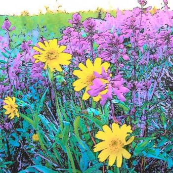Fotografie mit dem Titel "Klondike Hiway flora" von Stace & Amanda Pshyk, Original-Kunstwerk