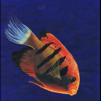 Peinture intitulée "poisson" par Sider Winkelkötter, Œuvre d'art originale, Huile