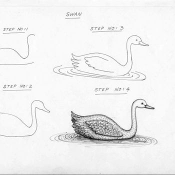 Digitale Kunst mit dem Titel "Swan [Original Illu…" von Mr T Silappathikaram, Original-Kunstwerk, Andere