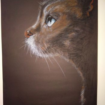 "Kedi" başlıklı Tablo İDris Bilir tarafından, Orijinal sanat, Pastel