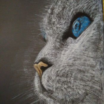 "Beyaz kedi" başlıklı Tablo İDris Bilir tarafından, Orijinal sanat, Pastel