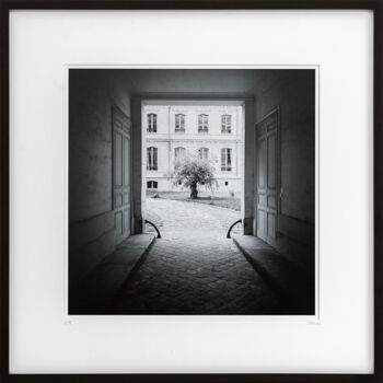 摄影 标题为“Tree in the Courtya…” 由Gerald Berghammer, 原创艺术品, 电影摄影 安装在纸板上