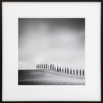 Photography titled "Row of Cypress Tree…" by Gerald Berghammer, Original Artwork, Analog photography Mounted on Cardboard