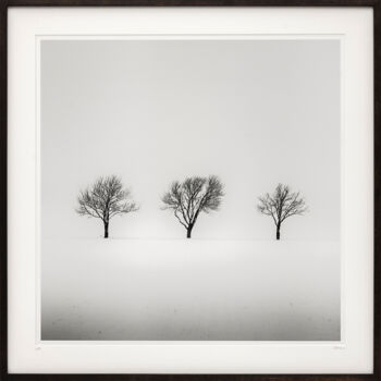 Photography titled "Trees in snowy Fiel…" by Gerald Berghammer, Original Artwork, Analog photography Mounted on Cardboard