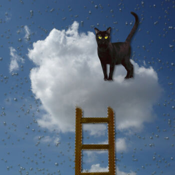 Цифровое искусство под названием "cat on the cloud" - Silvia Baldi, Подлинное произведение искусства, Цифровая живопись