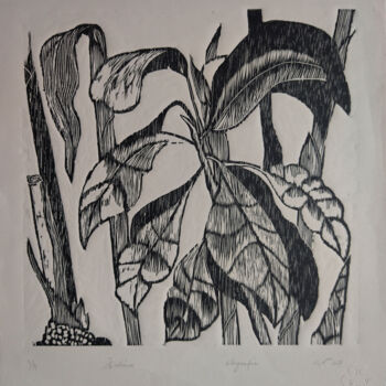 Estampas & grabados titulada "Herbácea I" por Silvia Valdano, Obra de arte original, Xilografía