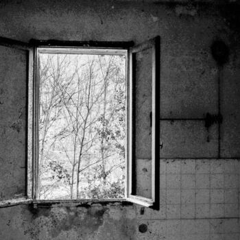 Photographie intitulée "Open window" par Silvia Zambolin, Œuvre d'art originale, Photographie numérique