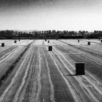 Fotografia intitolato "Field" da Silvia Zambolin, Opera d'arte originale, Fotografia digitale